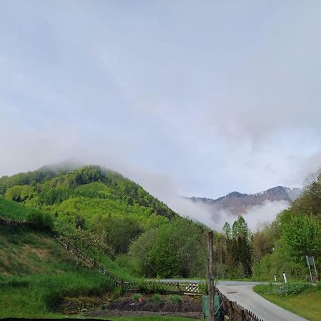 Wohnung Im Nationalpark Kalkalpen 3 Reichraming Exteriér fotografie