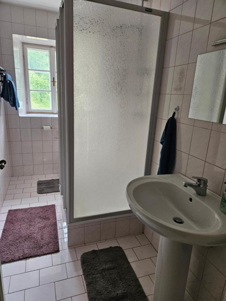Wohnung Im Nationalpark Kalkalpen 3 Reichraming Exteriér fotografie