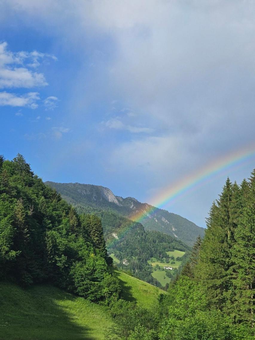 Wohnung Im Nationalpark Kalkalpen 3 Reichraming Exteriér fotografie