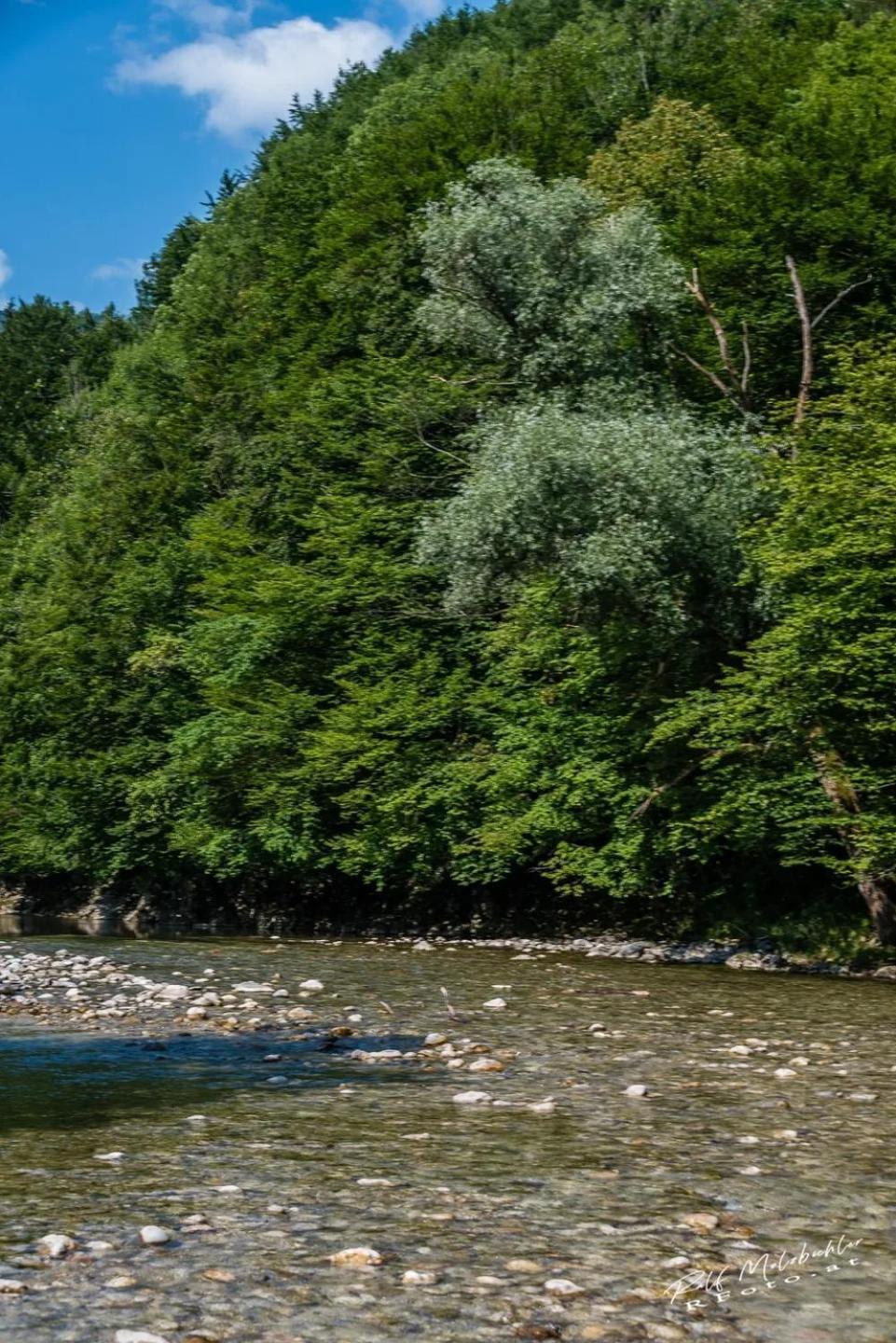 Wohnung Im Nationalpark Kalkalpen 3 Reichraming Exteriér fotografie